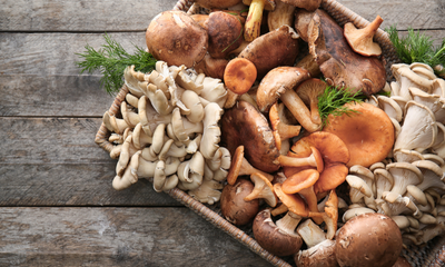 Mushroom Complex: The Stellar Superfood Blend That Will Blow Your Mind