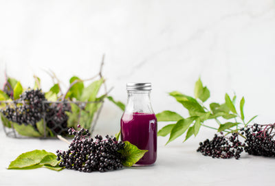 Is Elderberry Really an Effective Cold and Flu Cure?