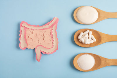Top 3 Signs That You Need a Probiotic