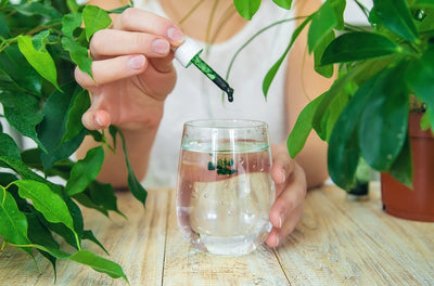 Natural Detox with Liquid Chlorophyll: A Guide to Better Health